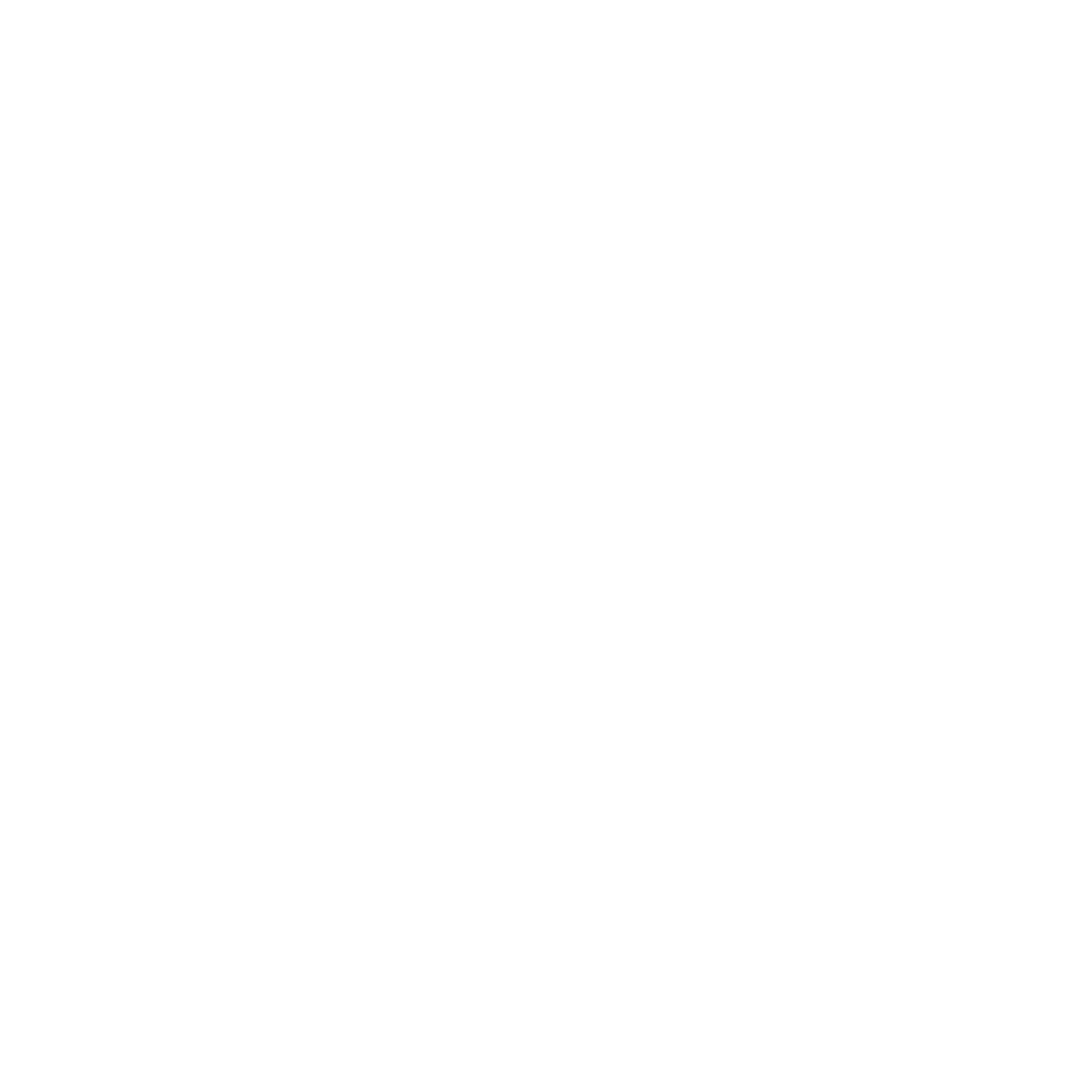 MountHost